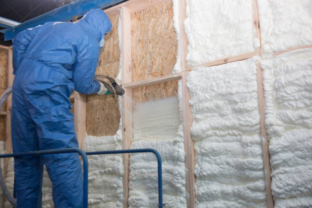 Trusted Pittsburgh, PA Insulation Removal & Installation Experts